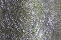 Mid Clyth fibreglass roof work